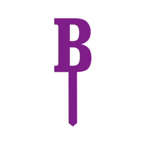 Small Block Font Letters - Purple B