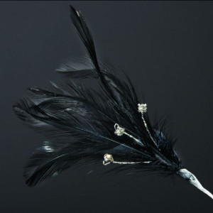 Black Feathers with Diamantés Pk/6
