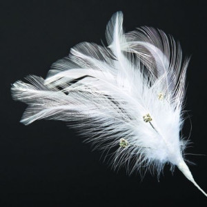 White Feathers with Diamantés Pk/6