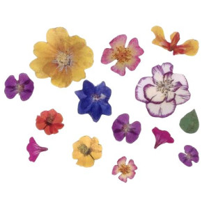 Crystal Candy Pressed Wafer Flowers Pk/40