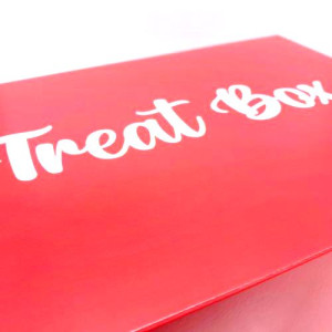 Red Treat Cupcake Box - Holds Standard 12's or Mini 24's