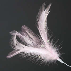 Pink Feathers with Diamantés Pk/6