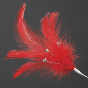Red Feathers with Diamantés Pk/6