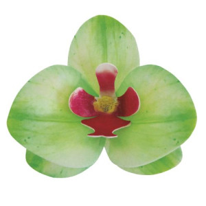 Dekora Green Wafer Orchids Box/10