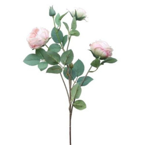 Tintagel Vintage Hedgerow Rose Spray Pink