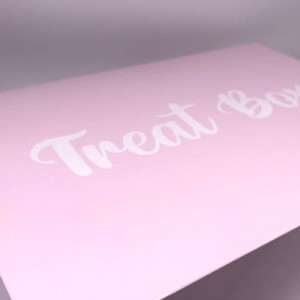 Baby Pink Treat Cupcake Box - Holds Standard 12's or Mini 24's