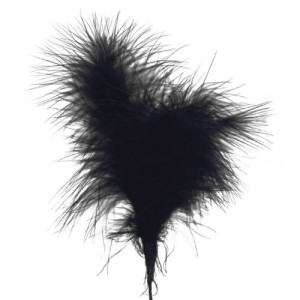 Culpitt Black Feathers Pk/6