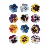 SugarSoft® Pansies Box 60