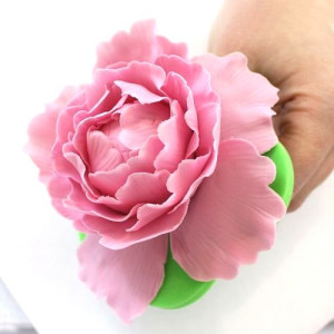 Immaculate Confections - Perfect Peony Cutters