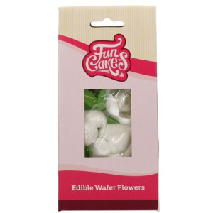 FunCakes Edible Wafer Flowers - Tulips & Leaves Pk/12