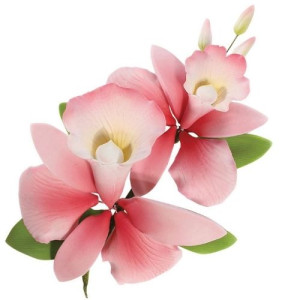 Pink Orchid Spray - 152mm