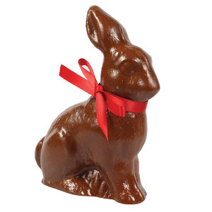 Chocolate Bunny Mould