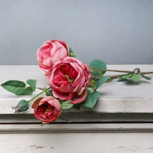 Tintagel Vintage English Rose Spray Dusy Pink