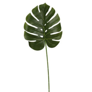 Large Monstera Leaf 