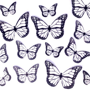 Crystal Candy Wafer Butterflies - Black & White Pk/22