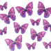 Crystal Candy Wafer Butterflies - Bonita  Pk/22