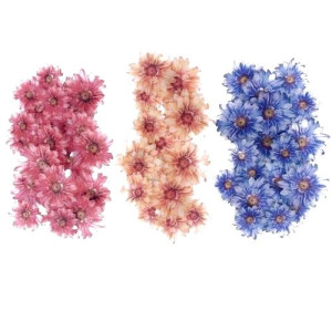 Crystal Candy Wafer Paper Mini Flowers - Spring Bloom Trio