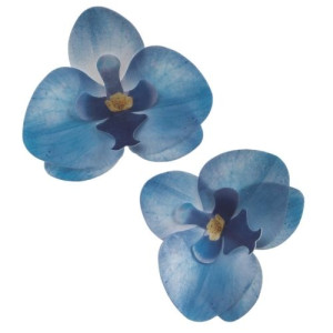 Dekora Blue Wafer Orchids Box/10