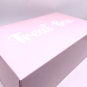 Powder Pink Treat Cupcake Box - Holds Standard 6's or Mini 12's