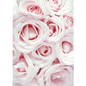 Baby Pink Roses Wafer Paper Sheets Pk/2