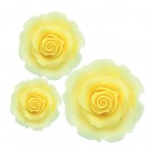 Mixed Ombre Yellow Sugar Soft Roses Pk/12