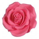 63mm Bright Pink Sugar Soft Roses Pk/8